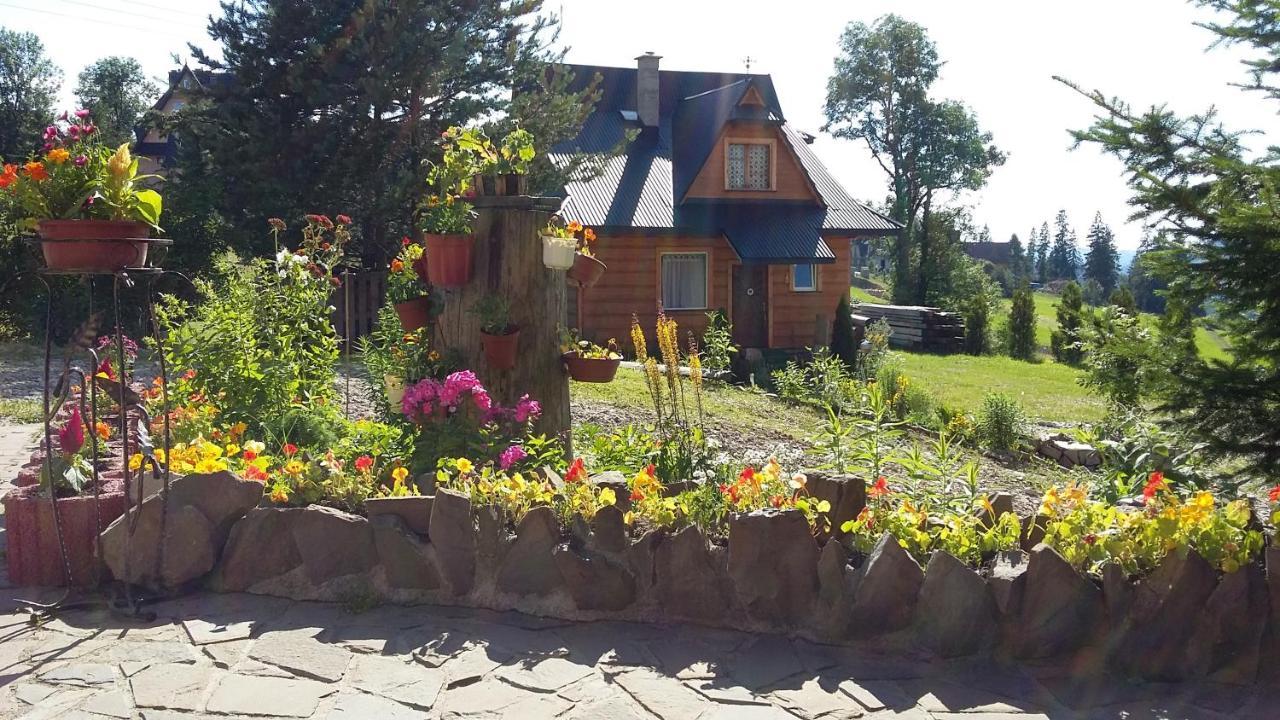 Domek Pod Kogutkiem Na Dolinie Bukowina Tatrzanska Exterior photo